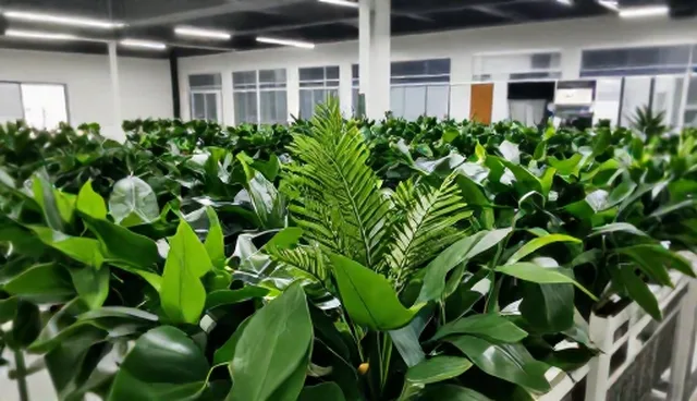 创业孵化场地的两种做法对比：为初创企业选择更合适的发展路径